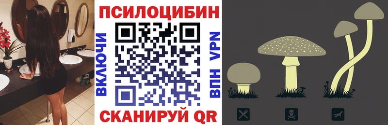 Галлюциногенные грибы MAGIC MUSHROOMS  Братск 
