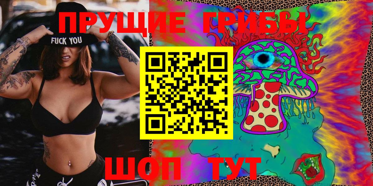 Псилоцибиновые грибы Psilocybine cubensis Братск