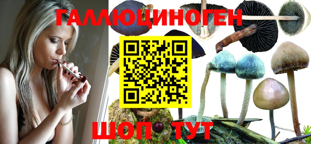 Галлюциногенные грибы мухоморы  Братск  Псилоцибиновые грибы мицелий 