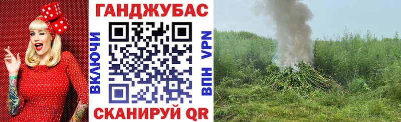 где купить наркотик  Братск  Марихуана ГИДРОПОН 
